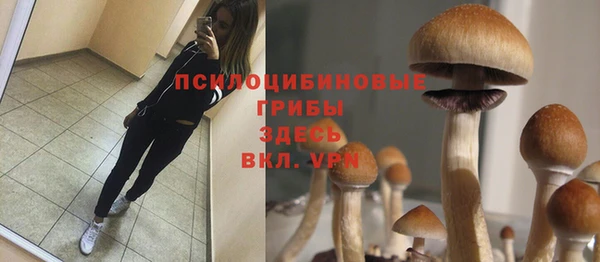 тгк Остров